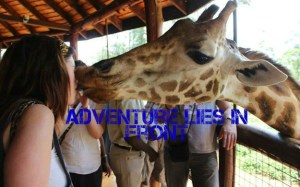 cropped-adventureliesinfront.jpg