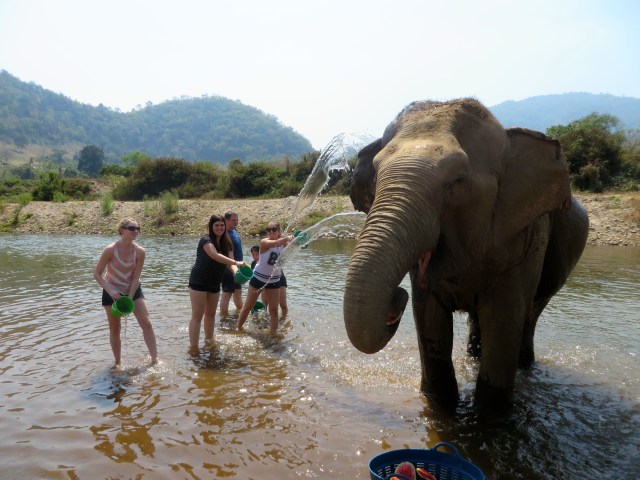 why you should never ride an elephant- elephant riding bad
