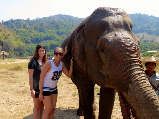 why you should never ride an elephant- elephant riding bad