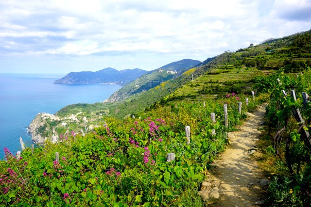 what to do in cinque terre hiking what to do in cinque terre hiking