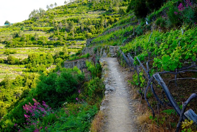what to do in cinque terre hiking what to do in cinque terre hiking